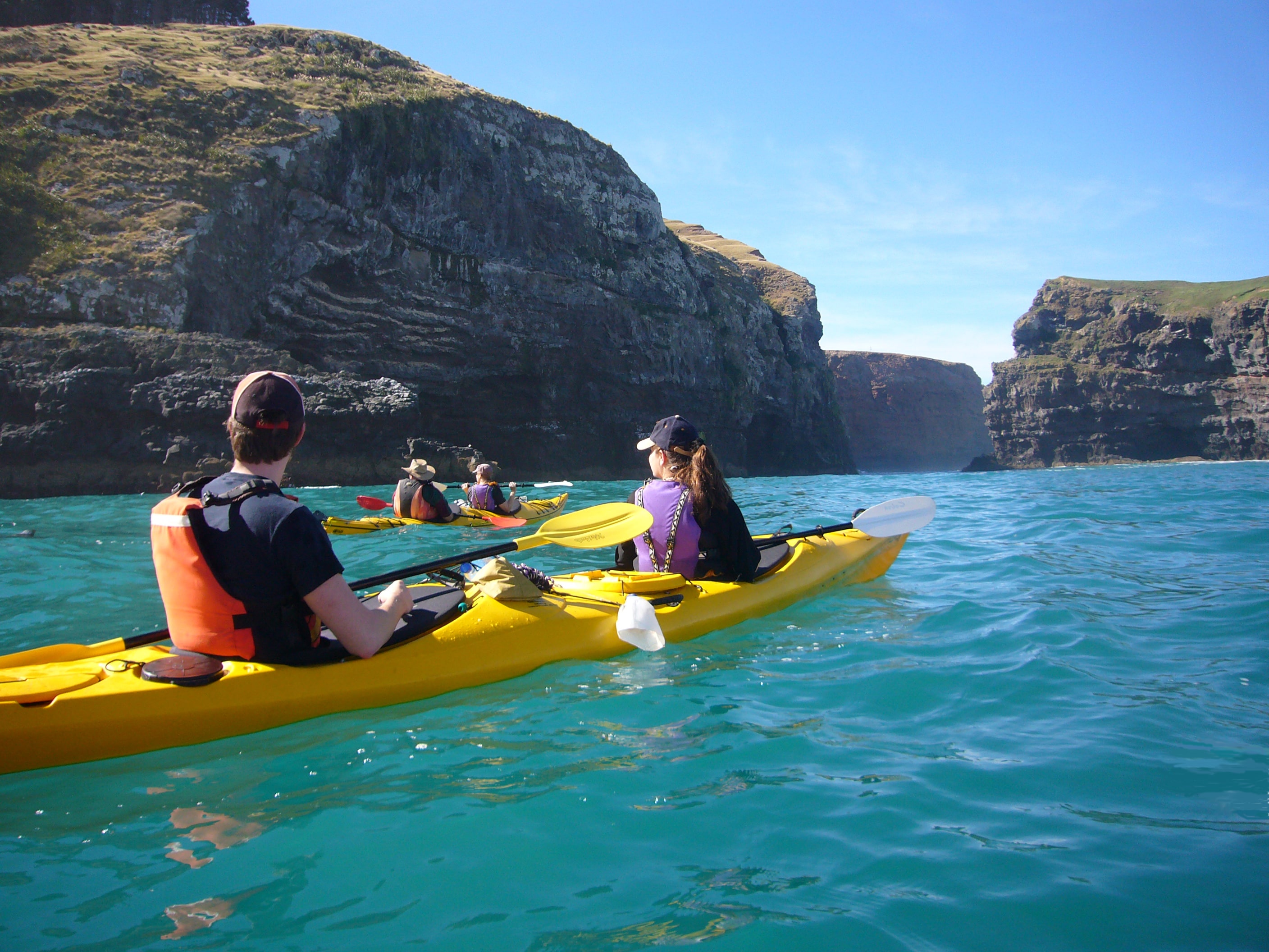 Pohatu Penguins, Nature, Sea Kayak & Penguin Tours in Akaroa